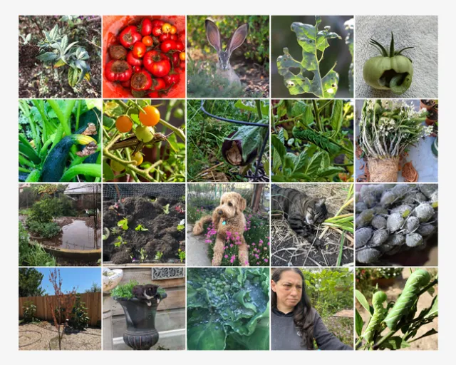 Garden Fails