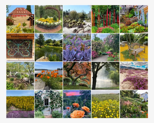 Lovely Landscapes