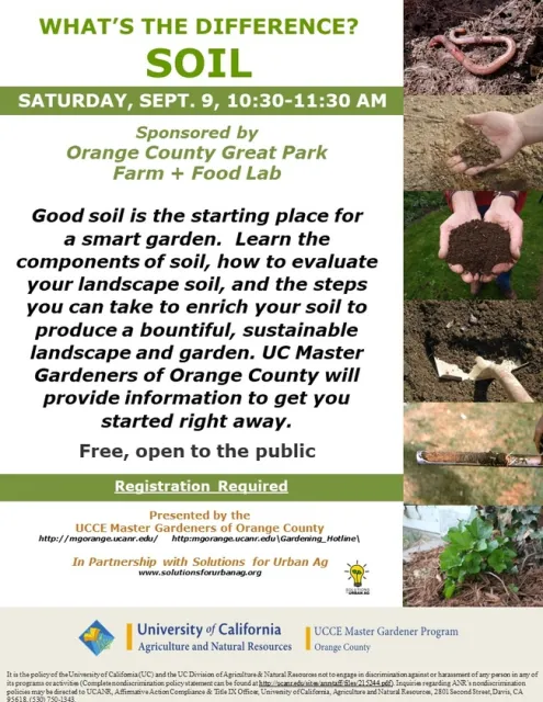 Dirt Matters! Discover the Secrets to a Thriving Garden