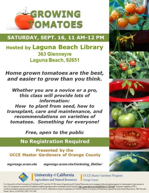 Discover Tomato Growing Secrets: Join Our Expert Class!