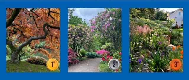 Lovely Landscapes