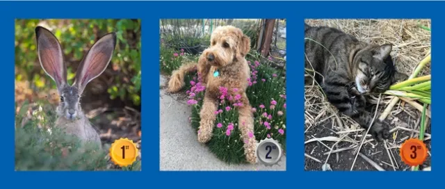 Garden Fails