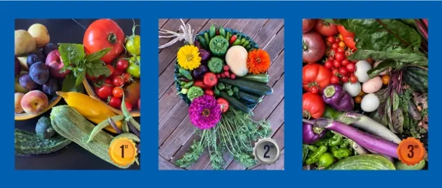 Garden Bounty