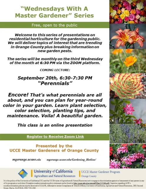 Unveiling the Art of Year-Round Color: Join Us for Perennials Zoom Encore!