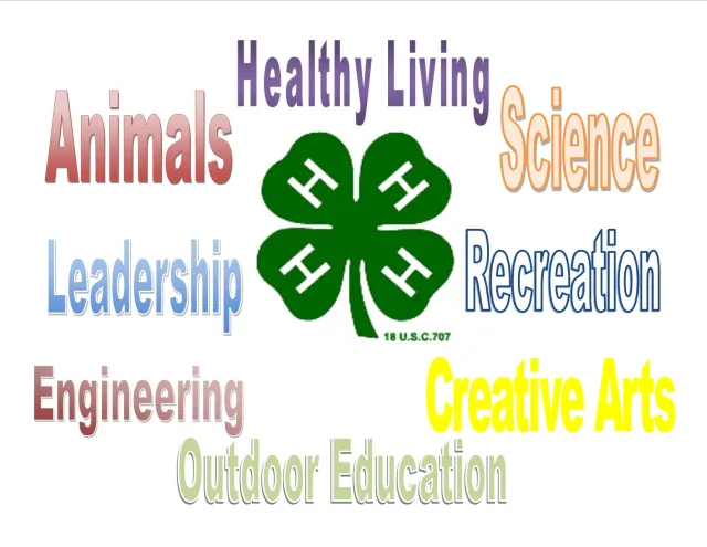 projects