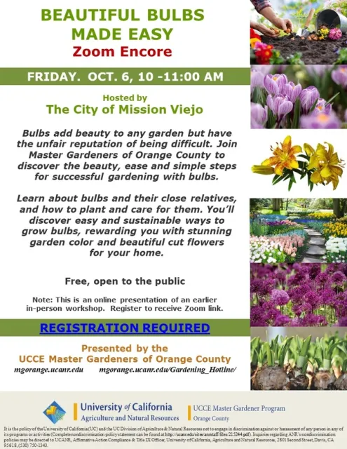 Unlock the Secrets of Effortless Bulb Gardening: Join Our Zoom Encore!