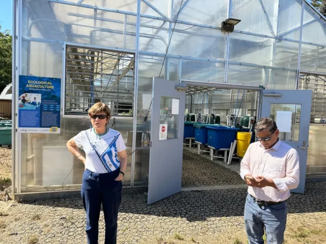 UCSC greenhouse