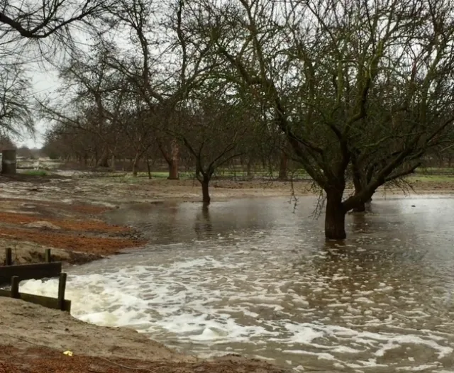 Recarga de agua subterránea en una huerta de almendras.
