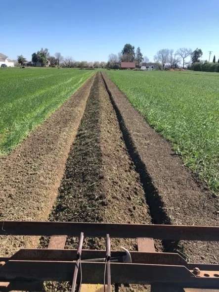 creating rows
