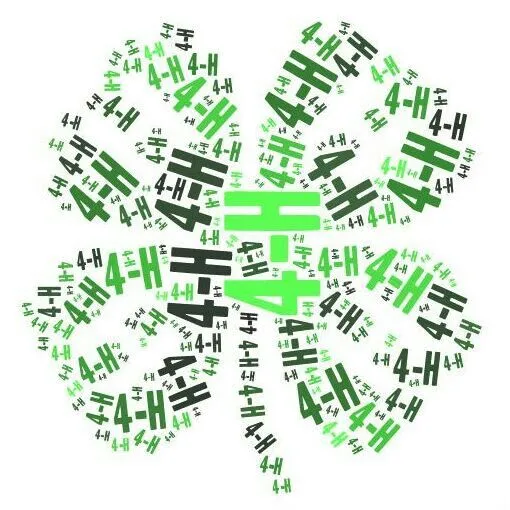 4-hclover