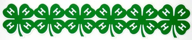 4hborder