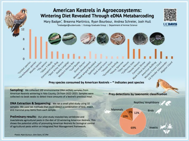 Kestrel Diet Study