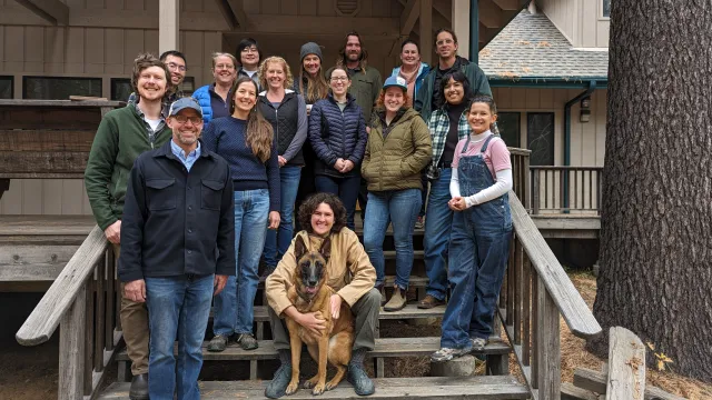 ForestWorkgroup