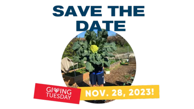 Save the Date - Giving Tuesday, Nov. 28, 2023