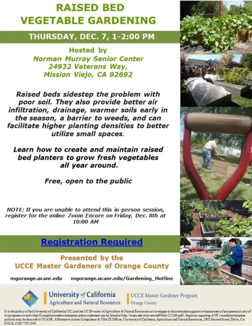 Beds Above the Rest: Your Passport to Year-Round Veggie Abundance