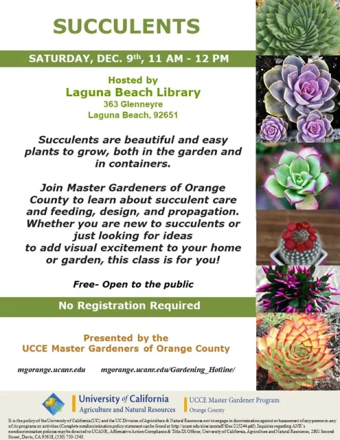 Succulent Mastery Unleashed: Learn, Create, and Grow with Master Gardeners