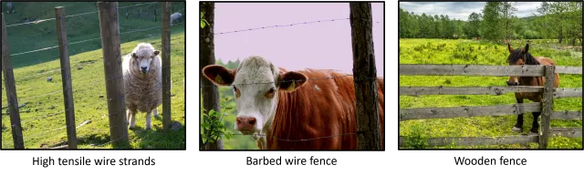 fence_2