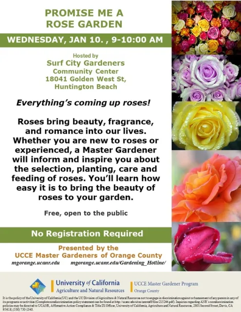 From Bud to Bloom: UC Master Gardeners Inspire and Inform on the Beauty of Roses