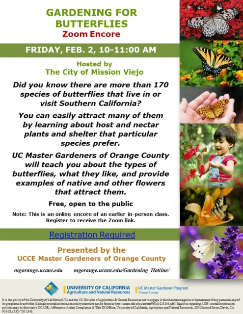 Explore Butterfly Magic: 'Gardening for Butterflies' - Reserve Your Spot on Zoom Today