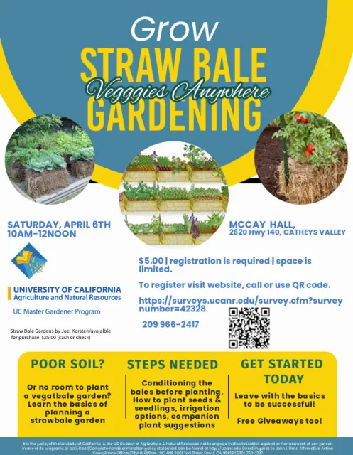 2024 Strawbale Garden Flyer