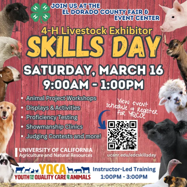 EDC 4-H 2024 SKILLS DAY (1)