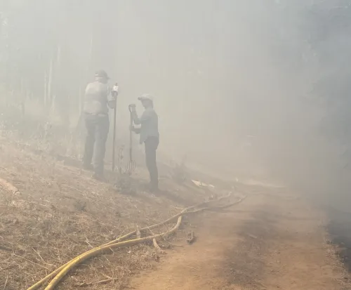 smokey