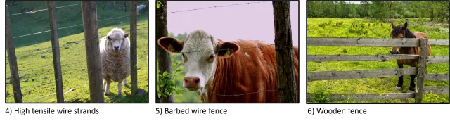 fence_2