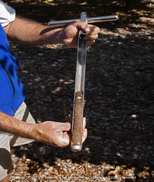 soil sample