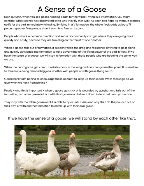 The sense of a Goose