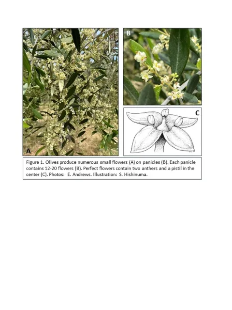 Slide2