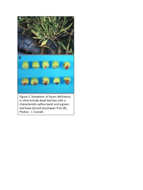 Slide3