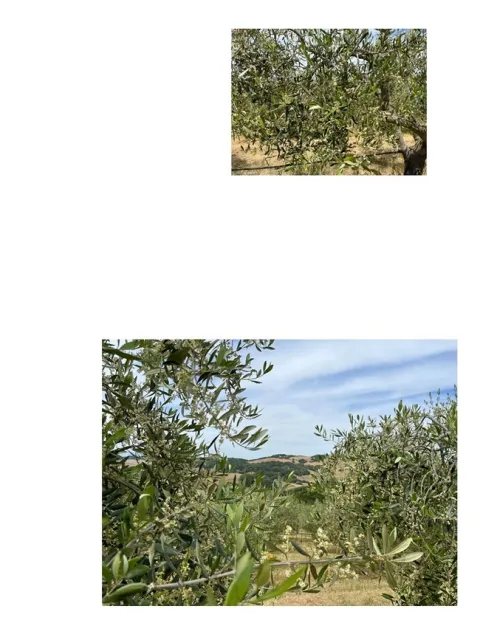 Slide4