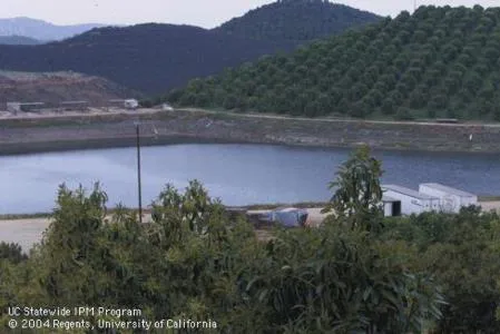 irrigation pond