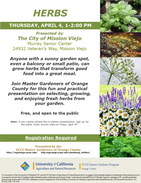Elevate Your Cooking: Join Us for Fresh Herb Gardening Tips