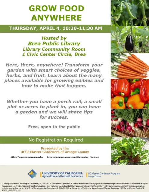 Grow Anywhere, Eat Everywhere: Join Our Edible Gardening Event
