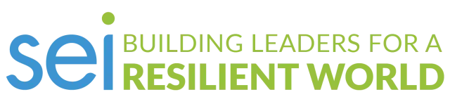 SEI logo