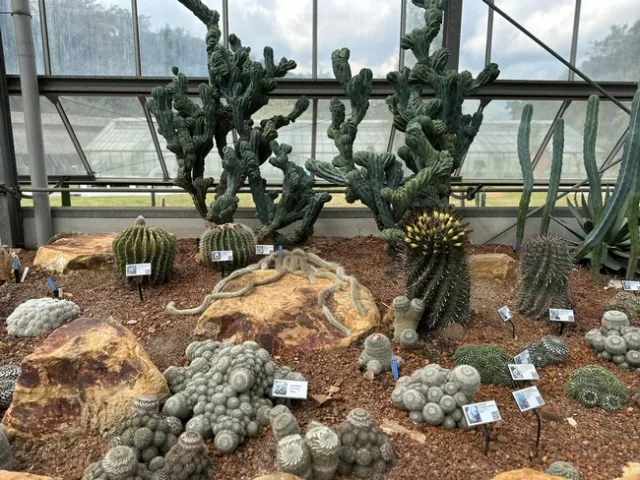 IMG 3879