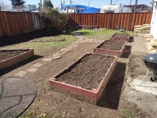 Picture3