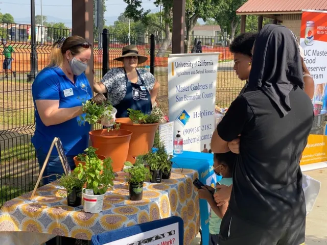 Voluntarios de UCCE Jardineros maestros en San bernardino County