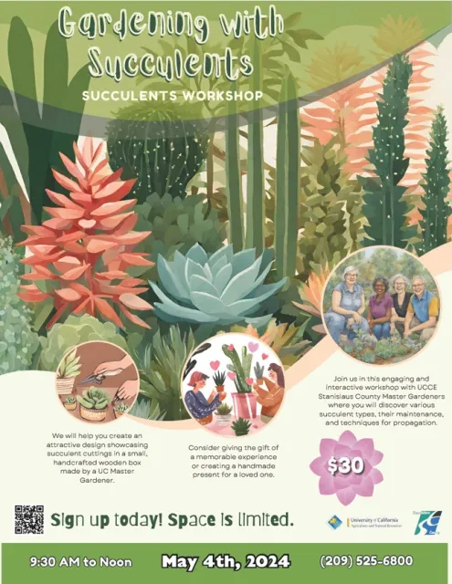 Flyer by Sonam