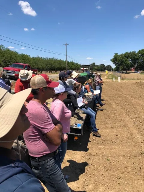 AlfalfaFieldDay2018