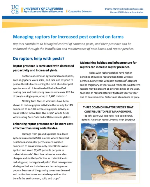 Raptor factsheet