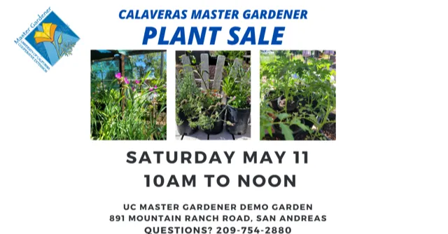 MG Plant Sales MAY 24 (2)