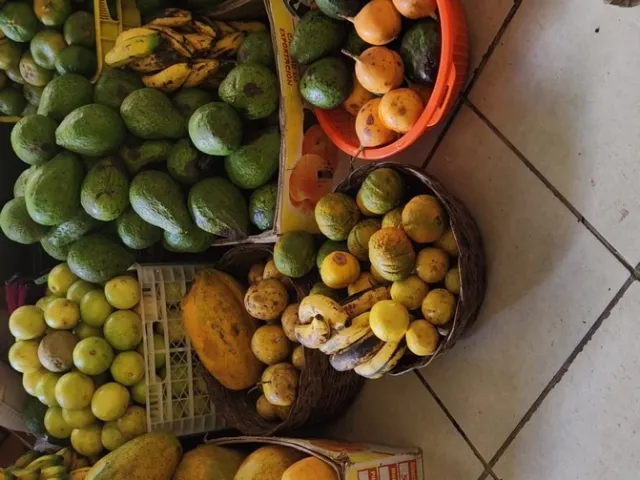 GrowingVegPeru-2