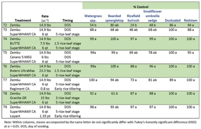 zembu table 2