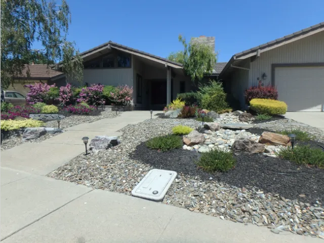 Water-wise yard
