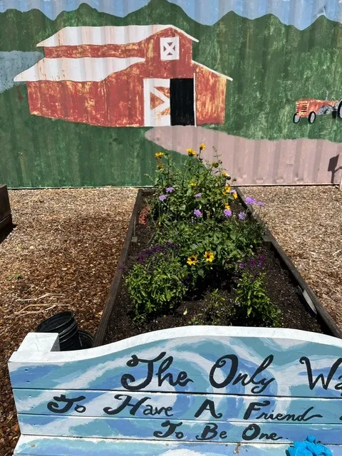 Vintage Parkway Elementary School garden in Oakley