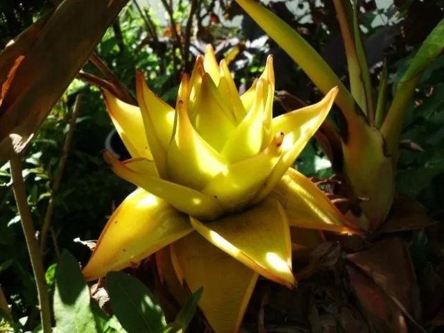 Photo10