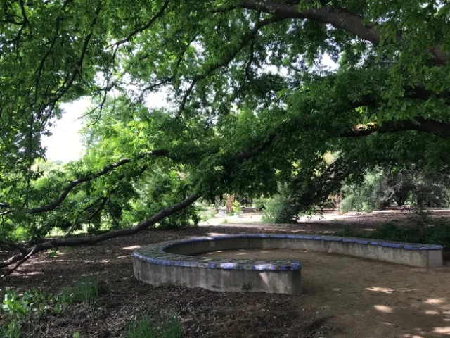 Shields Oak Grove