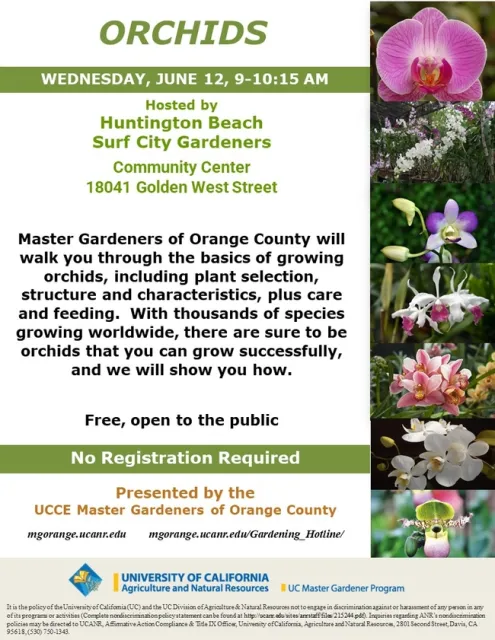 Discover the Beauty of Orchids: Join Our Growing Basics Workshop